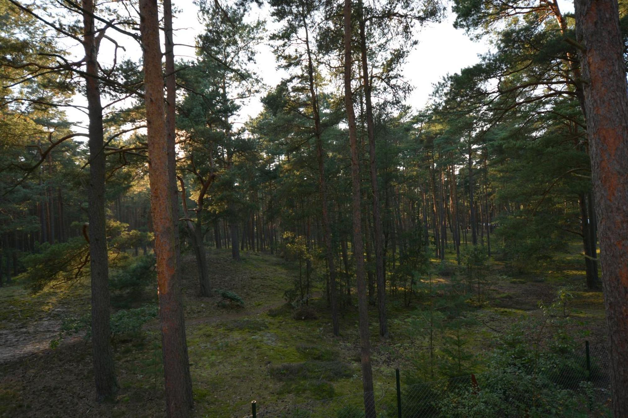 Domyletnie Pobierowo Dom 100M2 Z Dzialka I Balkonem エクステリア 写真